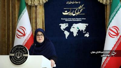  توضیح سخنگوی دولت درباره سهمیه بنزین تاکسی‌های اینترنتی و خودرو‌های نوشماره