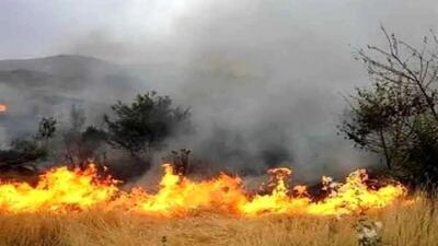  جنگل ابر شاهرود در چنگال آتش