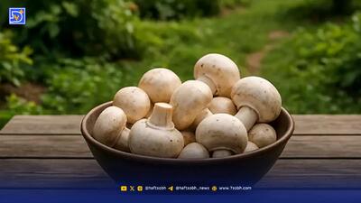  فواید شگفت انگیز قارچ برای قلب