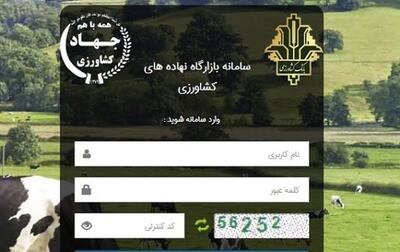  رانت ۴۰۰۰ میلیاردی در بازارگاه / سامانه‌ای که تورم گوشت را به ۳۲۰ درصد رساند