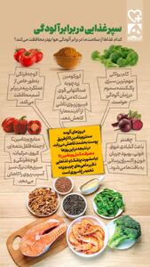  اینفوگرافی/ سپر غذایی در برابر آلودگی