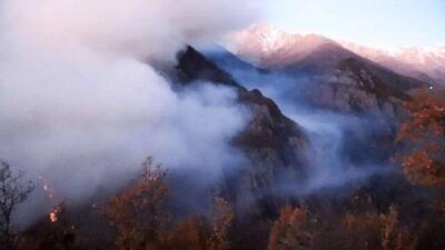  چرا آتش به جان جنگل الیت افتاد؟