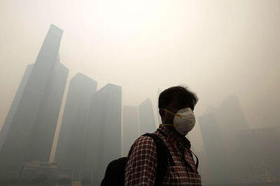  این سبزی ساده، قوی‌ترین نجات‌دهنده شما در هوای آلوده