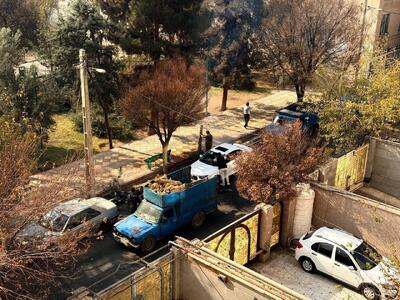  عکس/ قطع درختان توسط شهرداری زاکانی در آلوده‌ترین روز تهران | اقتصاد24