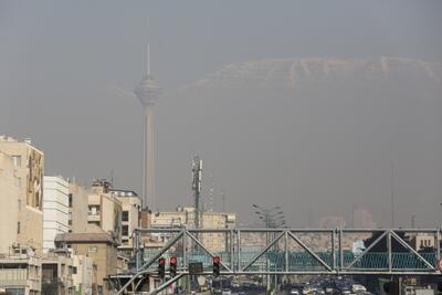 مدیرعامل شرکت کنترل کیفیت شهرداری تهران: داده‌های سایت‌های خارجی دقیق نیست / اطلاعات آنها برگرفته از سنسورهای ارزان‌قیمت مستقر در تهران است