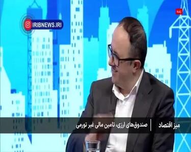  ببینید| صندوق‌های ارزی تا چند هفته دیگر به بورس می‌آیند