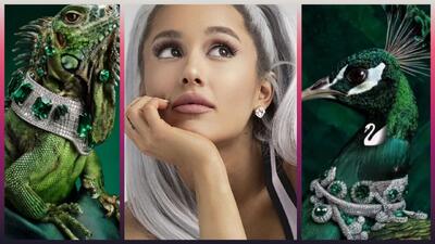  یک شرکت تبلیغاتی با مدلینگ حیوانات خبرساز شد - گیمفا