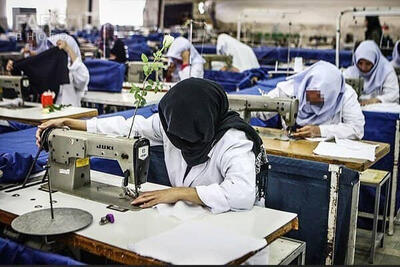  عملیات اشتغال‌ زایی کمیته امداد کهگیلویه و بویراحمد وارد فاز نهایی شد