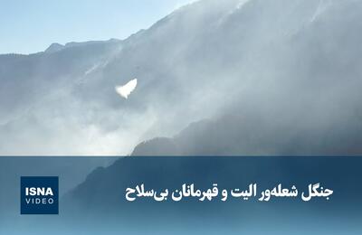  ویدیو/ جنگل شعله‌ور الیت و قهرمانان بی‌سلاح