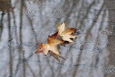  کاهش ۲ درجه‌ای دمای همدان/  بارش یک میلیمتری باران در شیرین‌سو