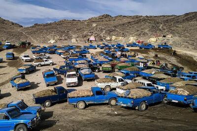  واکنش مخاطبین ایسنا به یک خبر؛ دستگیری اعضای بزرگترین باند قاچاق سوخت با ۱۶۷ هزار میلیارد تومان گردش مالی