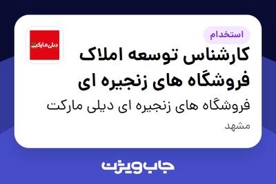  استخدام کارشناس توسعه املاک فروشگاه های زنجیره ای - آقا در فروشگاه های زنجیره ای دیلی مارکت