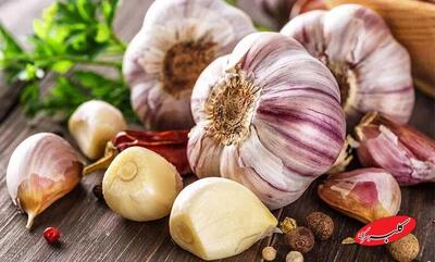  خوردن سیر خام ناشتا برای لاغری واقعا اثر دارد؟ - کلبه سرگرمی