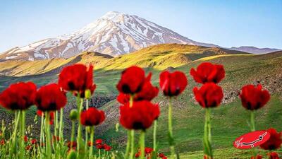  دردناک‌ترین تصویر زمستانی از قله دماوند منتشر شد+ عکس - کلبه سرگرمی
