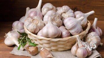  خوردن سیر خام ناشتا باعث لاغری می‌شود؟ - مجله اینترنتی کولاک
