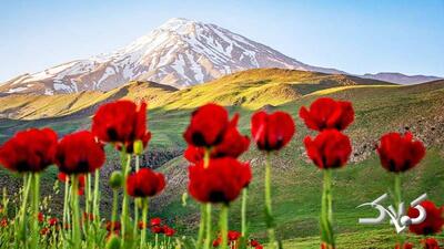  دردناک‌ترین تصویر زمستانی از قله دماوند منتشر شد+ عکس - مجله اینترنتی کولاک