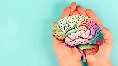  چطور مغزی سالم و تیز داشته باشیم؟ 5 راهکار برتر