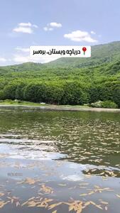  فیلم چشم‌انداز آرام دریاچه ویستان