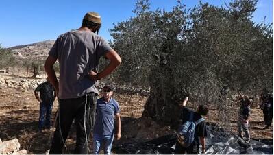  چهار کشور اروپایی خشونت شهرک‌نشینان اسرائیلی علیه فلسطینیان را محکوم کردند