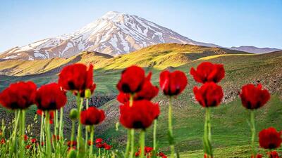  دردناک‌ترین تصویر زمستانی از قله دماوند منتشر شد+ عکس