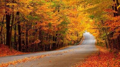  کاهش دمای هوا از اواسط هفته آینده/ از برافروختن آتش در مناطق جنگلی گیلان خودداری شود