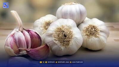  خوردن سیر خام ناشتا باعث لاغری می‌شود؟