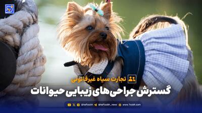  زیبایی به قیمت رنج؛ جراحی‌هایی که حیوان را لال، بی‌دفاع و بی‌احساس می‌کند