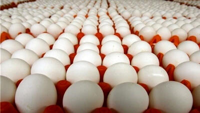  قیمت تخم‌مرغ دوباره بالا رفت/ تخم مرغ شانه‌ای چند؟