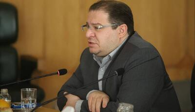  دبیر شورای اطلاع رسانی دولت: دولت نگرانی‌ها، انتقادات و پیشنهادات درباره مصوبه بنزین را رصد و بررسی می‌کند