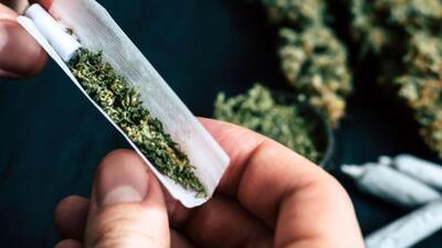  گُلِ آلوده؛ خطر پنهانی که جوان‌ها را درگیر کرده است