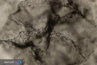  کشف رد‌های شیمیایی حیات ۳/۳ میلیارد ساله با کمک هوش مصنوعی