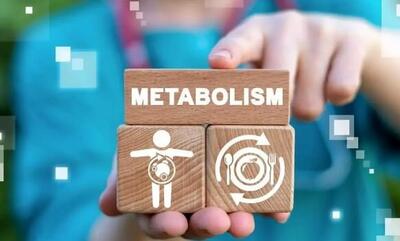  عوامل اصلی تأثیرگذار بر متابولیسم بدن | اقتصاد24