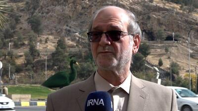  احمدی: تاکید وزیر فرهنگ بر میزبانی استان ها از جشنواره های بین المللی است