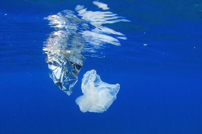  جبهه آبی محیط‌زیست اروپا؛ خط قرمز تازه برای زباله‌های کف دریا