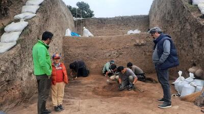  شکفتن دانه برنج ۳۰۰۰ ساله از کاوش لایه نگاری محوطه باستانی قلعه‌کِش آمل