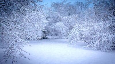  تصاویری از بارش برف در تهران+ فیلم