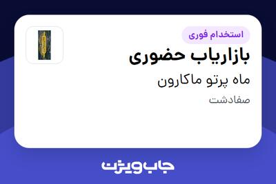  استخدام بازاریاب حضوری در ماه پرتو ماکارون