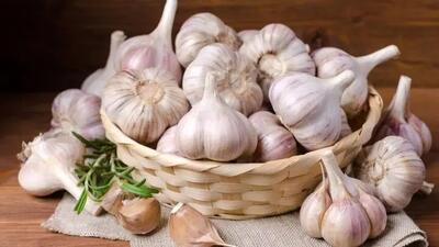  خوردن سیر خام ناشتا باعث لاغری می‌شود؟