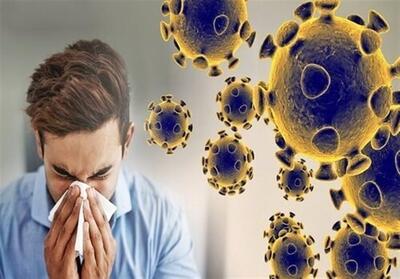  موج جدید آنفلوانزا در بوشهر/ مدارس استان تعطیل شد - پارس فوتبال