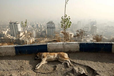  هوای آلوده، اقتصاد بحرانی