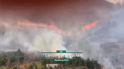  آتش‌سوزی باغ چای در کومله استان گیلان پس از سه ساعت مهار شد