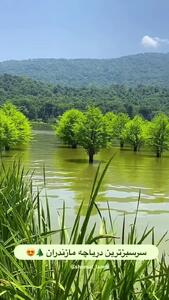  فیلم دریاچه الندان / نگین بکر مازندران