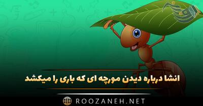  انشا درباره دیدن مورچه ای که باری را میکشد؛ ۱۰ انشا کامل