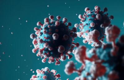  هشدار جدی موسسه پاستور فرانسه؛ یک سویه از آنفولانزای پرندگان می‌تواند پاندمی‌ای «بدتر از کرونا» به راه اندازد