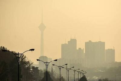  مدارس تهران فردا شنبه ۸ آذر مجازی شد