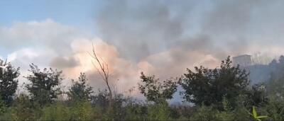  آتش‌سوزی در باغات کومله مهار شد/ حدود ۱۵ هکتار طعمه حریق شد