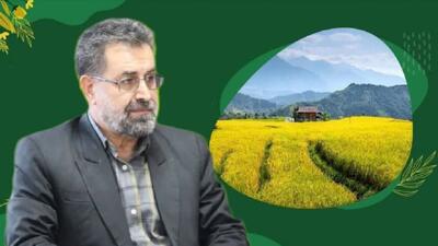  توانمندسازی کشاورزان مازندران؛ اجرای بیش از ۲۶ هزار نفر‌روز آموزش مهارتی