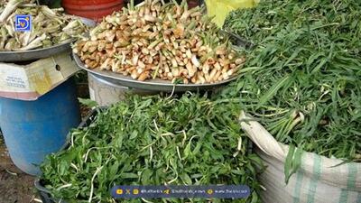  توقیف یک تن گیاه دارویی در خرم‌آباد