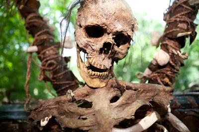  راز ۴۵ هزار ساله «آدم‌خواری نئاندرتال‌ها» در غار بلژیک فاش شد