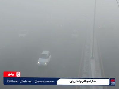  مه غلیظ صبحگاهی در بوشهر